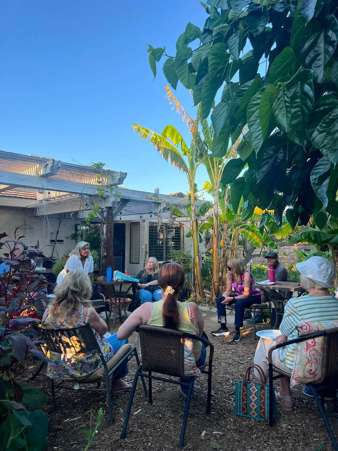 Urban Food Forest Garden Tour