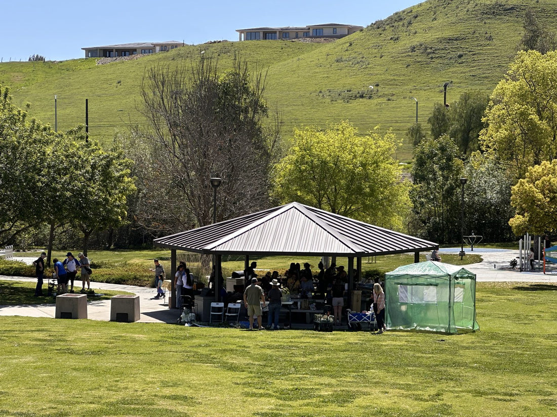 Plant Swap April 2025 at Crossroads Park