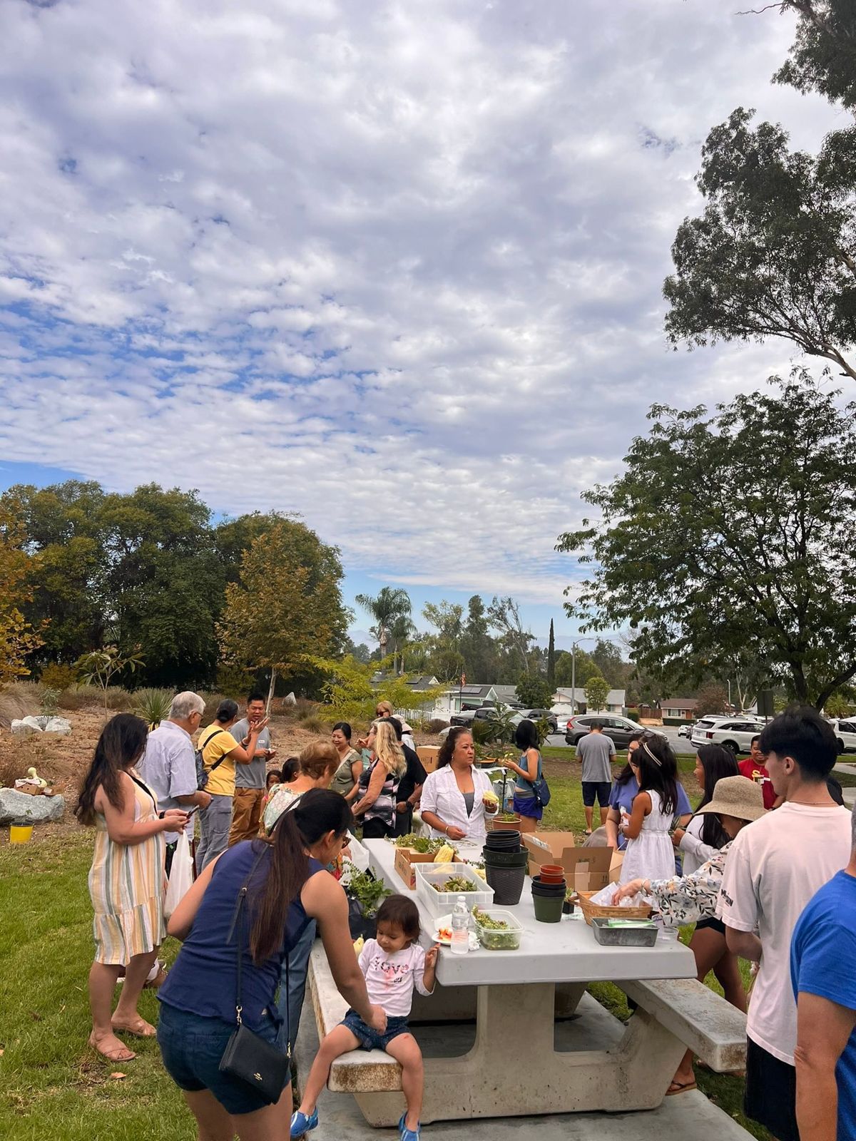 Plant Swap September 2025