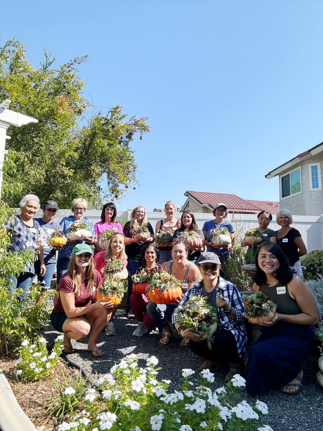 Succulent Pumpkin Workshop
